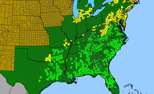 The range of Platanthera ciliaris